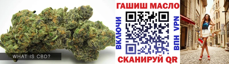 цена   Судогда  ТГК концентрат 